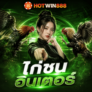 ไก่ชนอินเตอร์